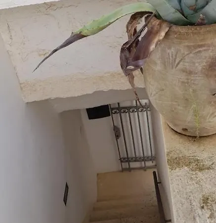 דירה Petra